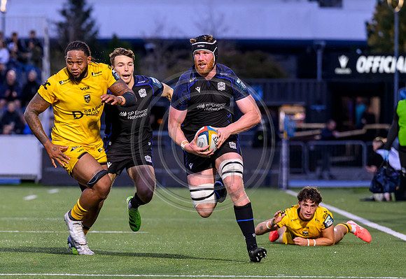 Warriors v Dragons