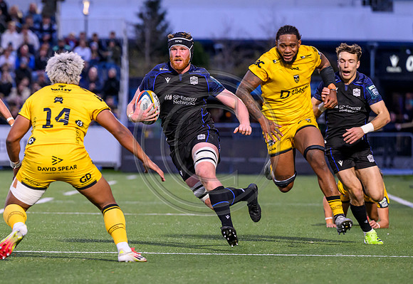 Warriors v Dragons