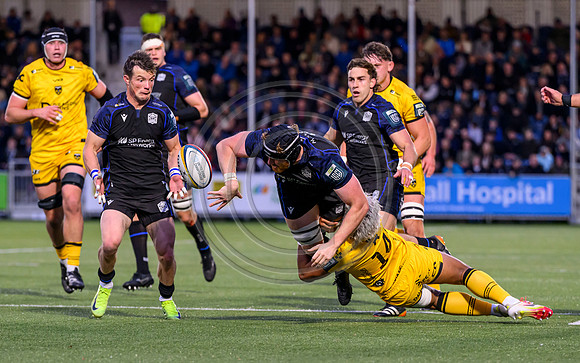 Warriors v Dragons