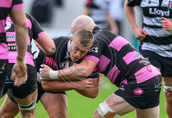 Ayr v Kelso