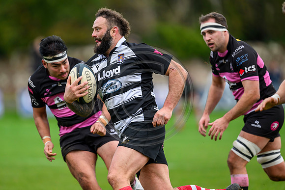 Ayr v Kelso