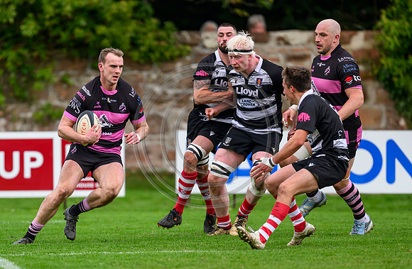 Ayr v Kelso