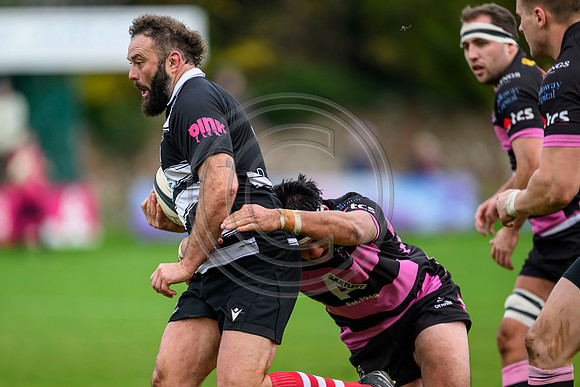Ayr v Kelso