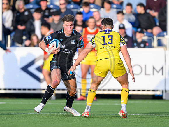 Warriors v Zebre
