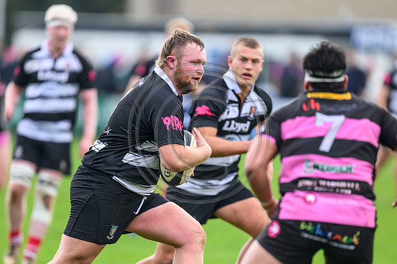 Ayr v Kelso