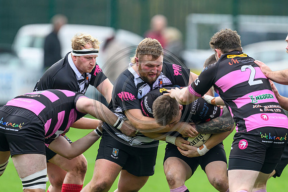 Ayr v Kelso