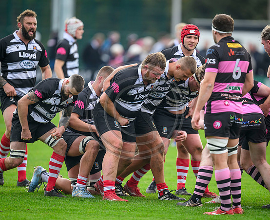 Ayr v Kelso