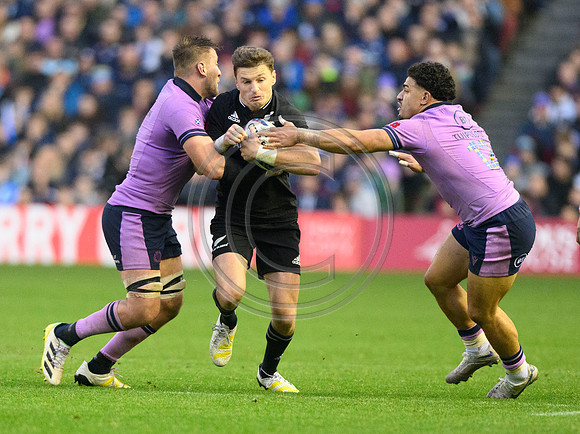 Scotland v New Zealand