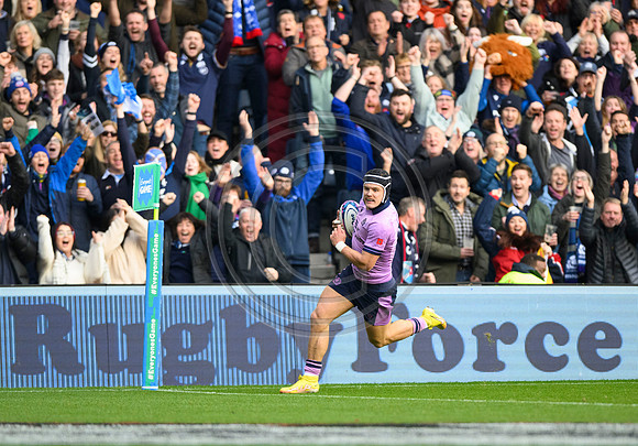 Scotland v New Zealand
