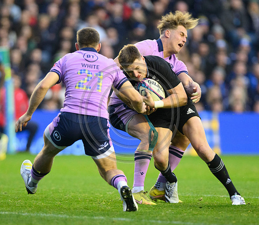 Scotland v New Zealand