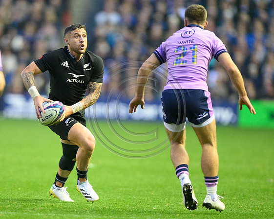 Scotland v New Zealand