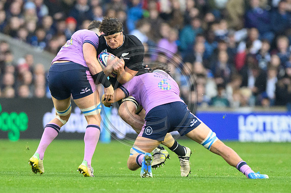 Scotland v New Zealand