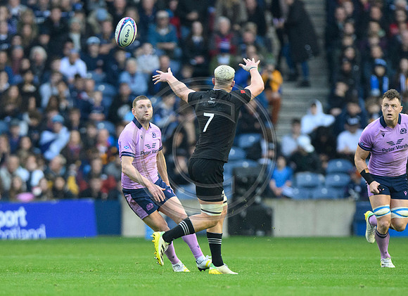 Scotland v New Zealand