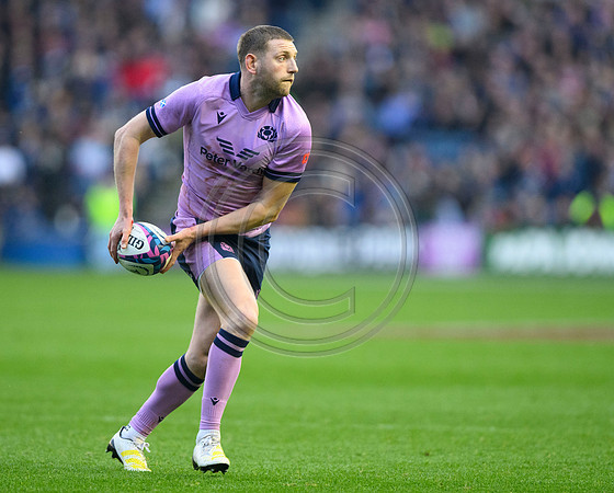 Scotland v New Zealand