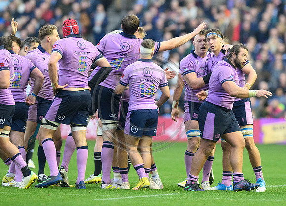 Scotland v New Zealand