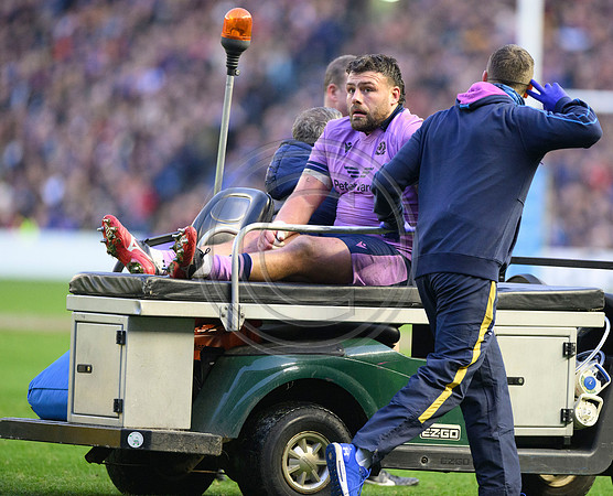 Scotland v New Zealand