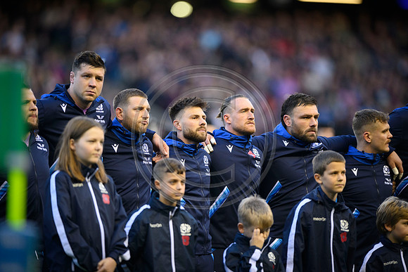 Scotland v New Zealand