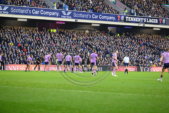 Scotland v New Zealand