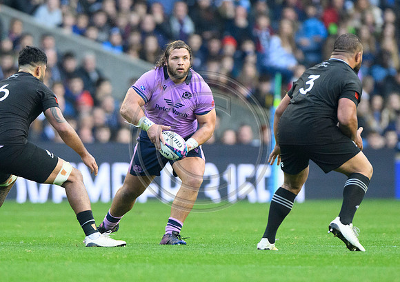 Scotland v New Zealand