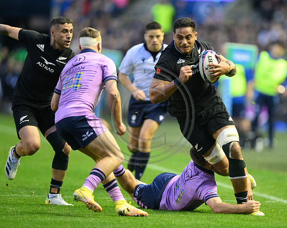 Scotland v New Zealand