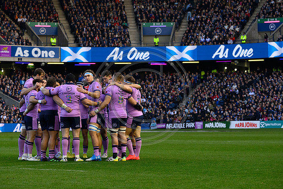 Scotland v New Zealand