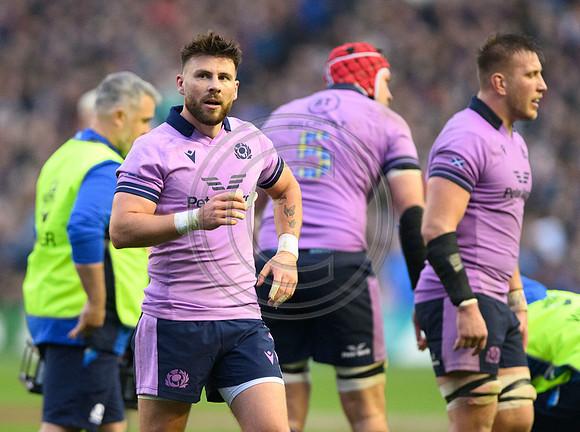 Scotland v New Zealand