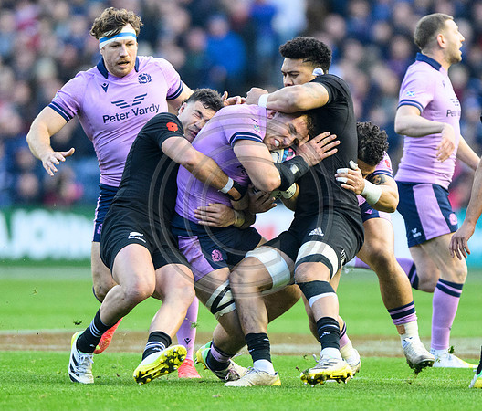 Scotland v New Zealand