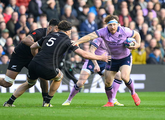 Scotland v New Zealand