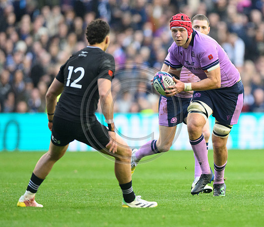 Scotland v New Zealand