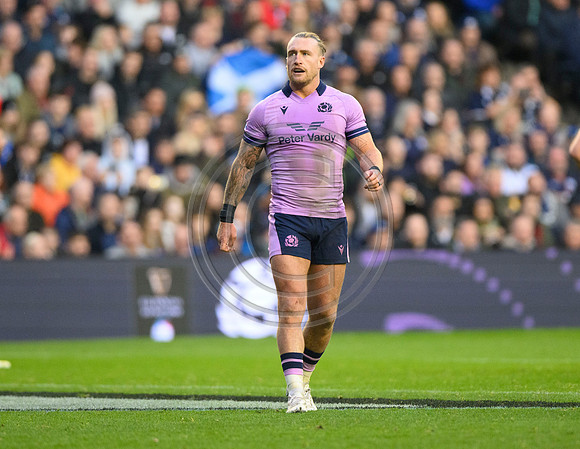 Scotland v New Zealand