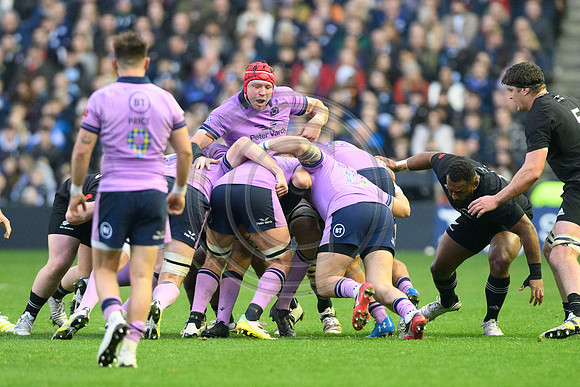 Scotland v New Zealand
