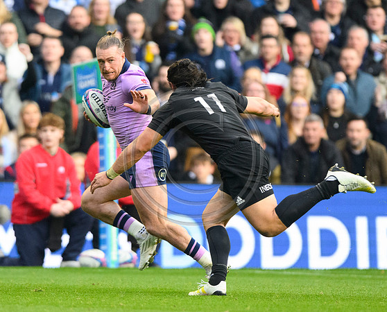 Scotland v New Zealand