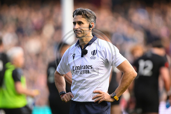 Scotland v New Zealand