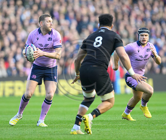 Scotland v New Zealand
