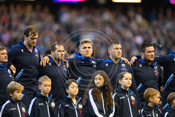 Scotland v New Zealand