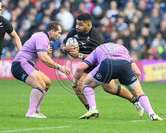 Scotland v New Zealand