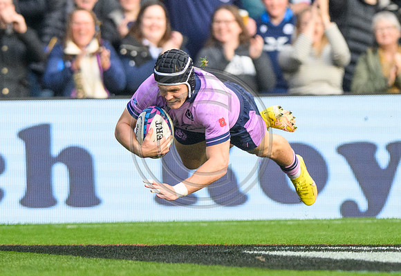 Scotland v New Zealand