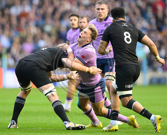 Scotland v New Zealand