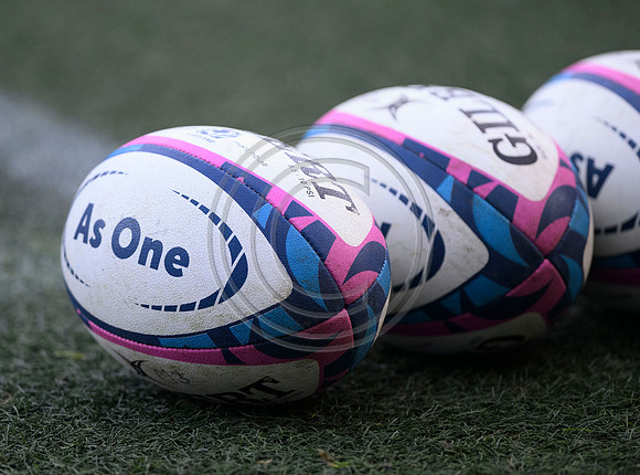 Scotland v New Zealand