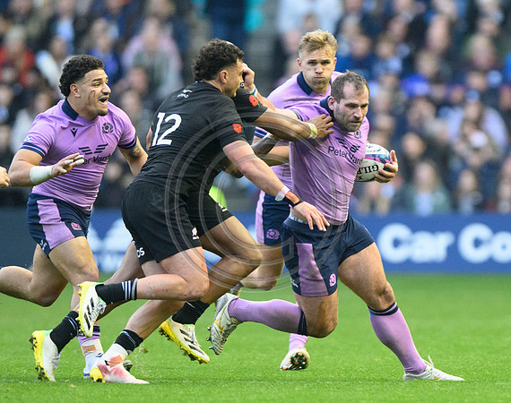 Scotland v New Zealand
