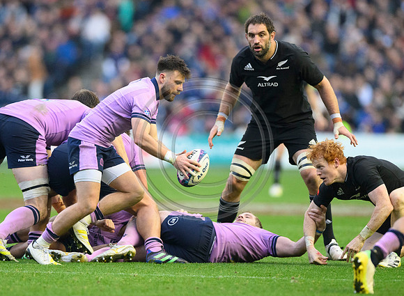 Scotland v New Zealand