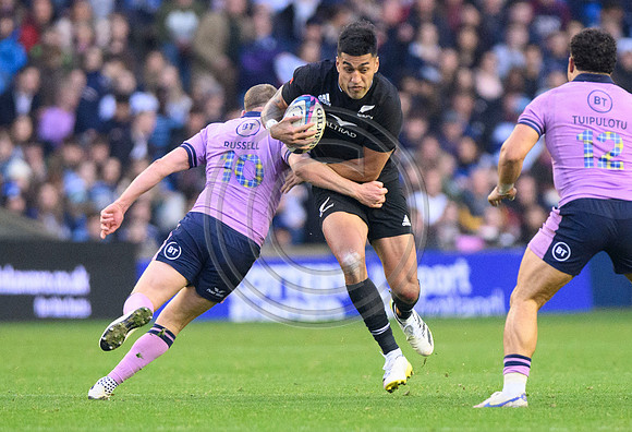 Scotland v New Zealand