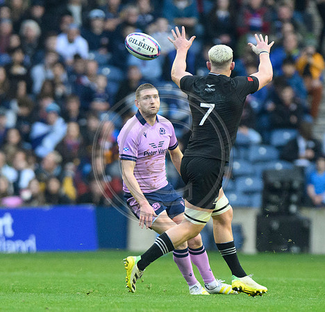 Scotland v New Zealand