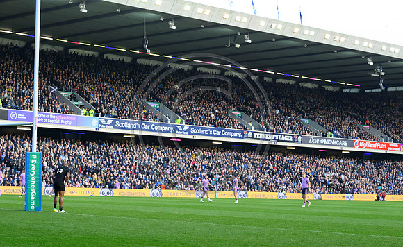 Scotland v New Zealand