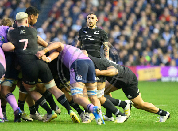 Scotland v New Zealand