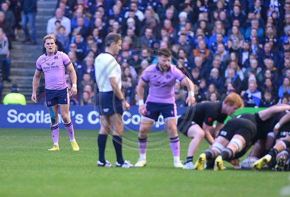 Scotland v New Zealand
