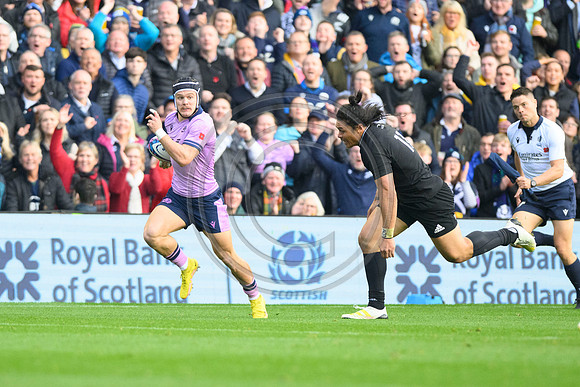 Scotland v New Zealand