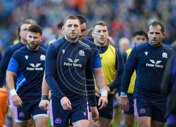 Scotland v New Zealand