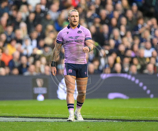 Scotland v New Zealand
