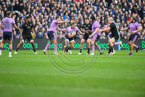 Scotland v New Zealand